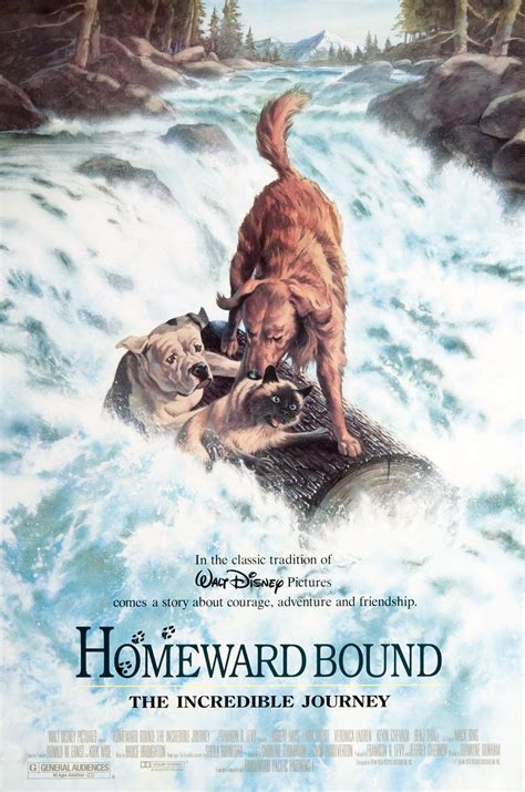 Homeward Bound The Incredible Journey Directed by Duwayne Dunham. . Homeward bound imdb